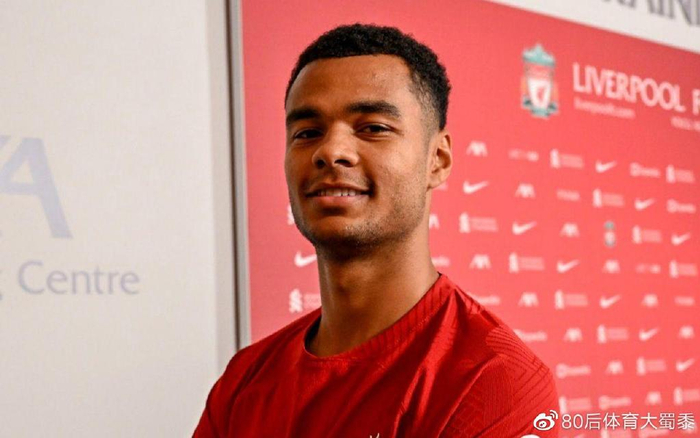 许多优秀球 许多优秀球