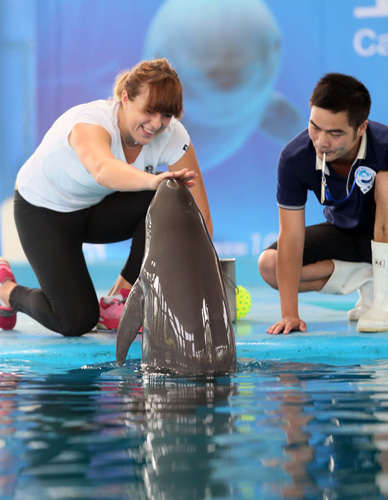 成为球队的 成为球队的