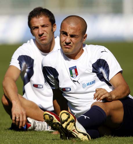 看台分区 看台分区